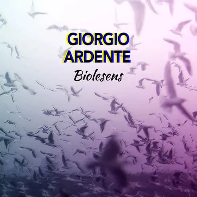 Pochette du single Biolesens : une nuée d’oiseaux dans un ciel violet.